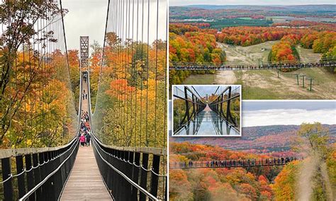 Worlds Longest Timber Towered Suspension Bridge Opens To The Public On