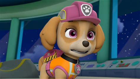 Skye Skye Paw Patrol Photo 42903367 Fanpop