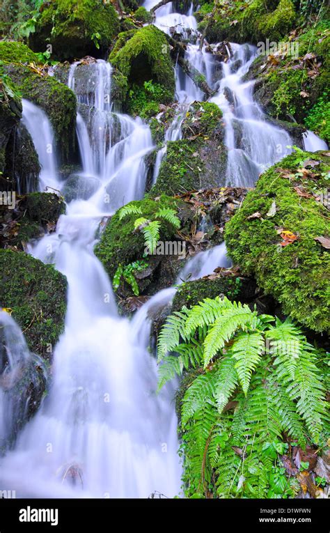 Crystal Clear Waterfall Cascade Over Rocks With Ferns And Moss Stock