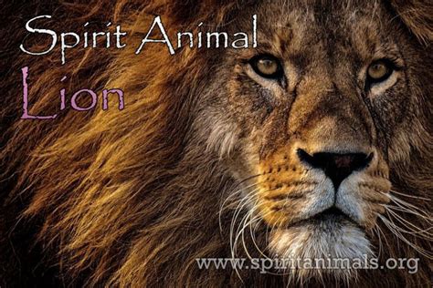 Lion Spirit Animal Meaning And Symbolism Spirit Animals