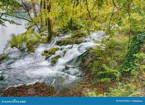 Plitvice Lakes In Croatia Deep Forest Stream Crystal Clear Water