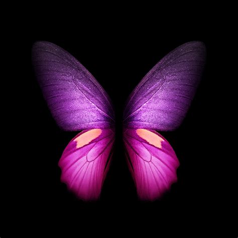 Download Galaxy Fold Wallpapers 36 Video Still Wallpapers