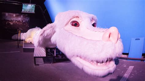 You Can Ride Falkor The Luck Dragon From The Neverending Story At