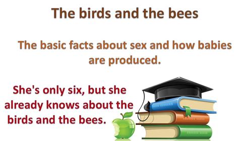 The Birds And The Bees Basic Facts English Idioms Learn English