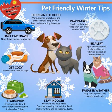 Winter Weather Tips To Keep Your Pets Safe And Healthy
