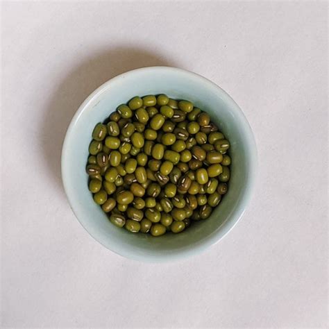 Dried Herbs Mung Bean Semen Phaseoli Radiati Phaseolus Lu Etsy