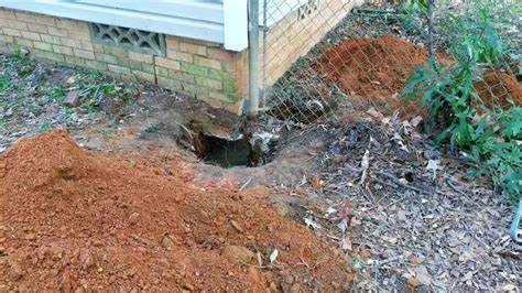 What To Expect From Foundation Repairs Before During And After Just