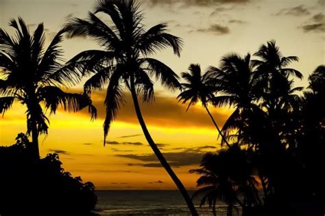 Tropical Beach Paradise Sunset 1944170 Hd Wallpaper And Backgrounds