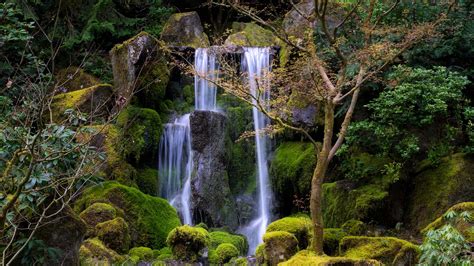 Download Wallpaper 2560x1440 Waterfall Water Stones Moss Trees