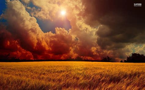Storm Clouds Over Wheat Field Wallpaper Nature Wallpapers Sky