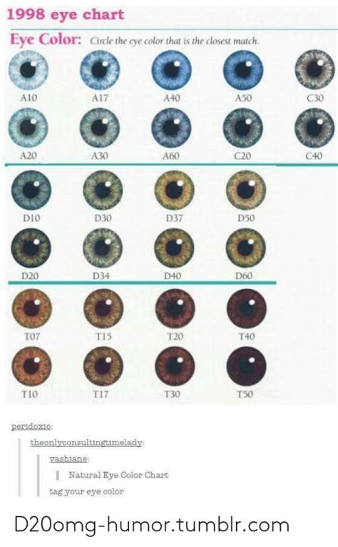 1998 Eye Chart Eye Color Cirle The Eye Color That Is The Closest Match