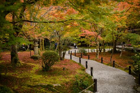 Jeffrey Friedls Blog An Enkoji Temple Fall Foliage Preview