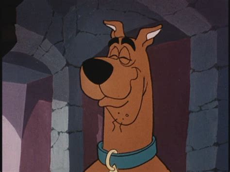 scooby doo where are you the original intro scooby doo image 17020687 fanpop