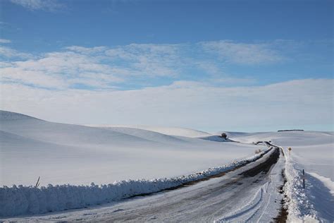Winter Country Road Photograph By Tatiana Travelways Pixels