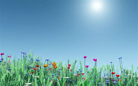 Dream Spring 2012 Spring Time Flowers Wallpapers Hd
