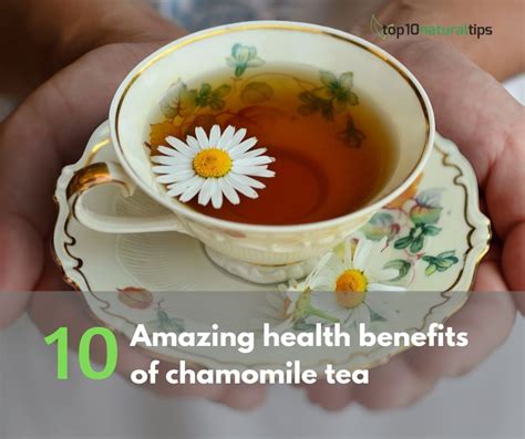 10 Amazing Health Benefits Of Drinking Chamomile Tea Top10 Natural Tips