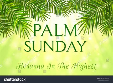Palm Sunday Over 3064 Royalty Free Licensable Stock Vectors And Vector