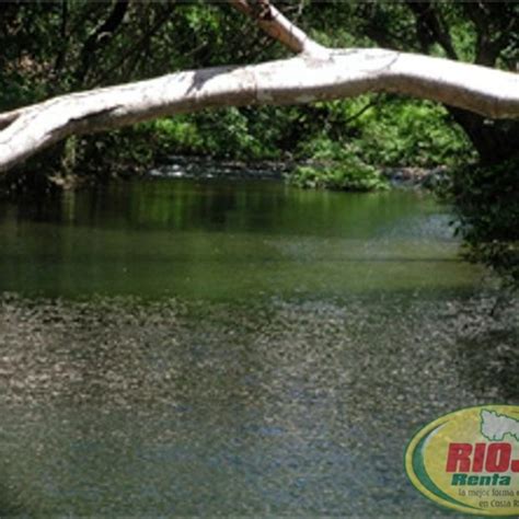 Parque Nacional Marino Las Baulas De Guanacaste Alquiler De Carros En