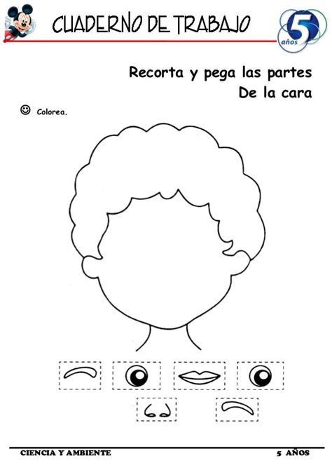 Partes De La Cara Para Completar Y Colorear Partes De La Cara En