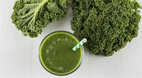 Les 5 Bienfaits Du Chou Frisé Ou Kale Bio à La Une