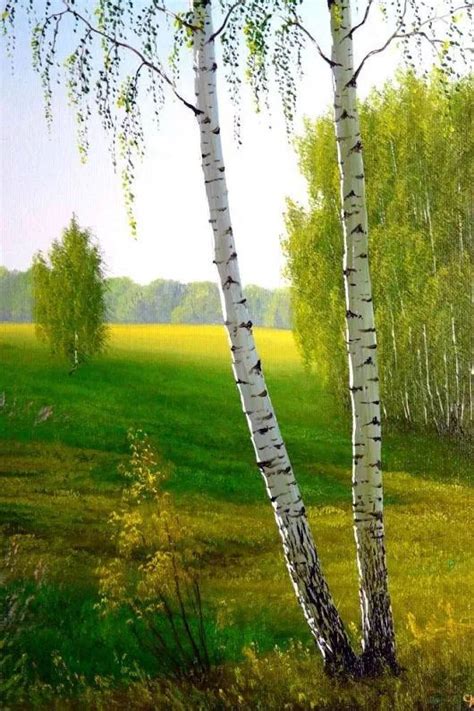 Beautiful Paintings Beautiful Landscapes Aspen Trees Painting Tree
