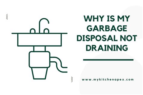 Why Is My Garbage Disposal Not Draining Troubleshooting Tips