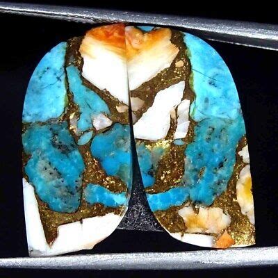 12 40Cts Treated Spiny Oyster Copper Turquoise Fancy Pair Cab Loose