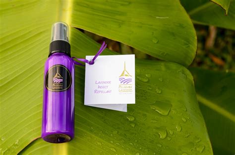 The Complete Lavender Experience™ Lavender A Must Have Tropical Travel Companion