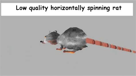 Low Quality Spinning Rat Youtube