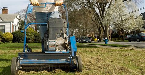 Dethatching with a vertical mower. Why, When and How to Dethatch Your Lawn
