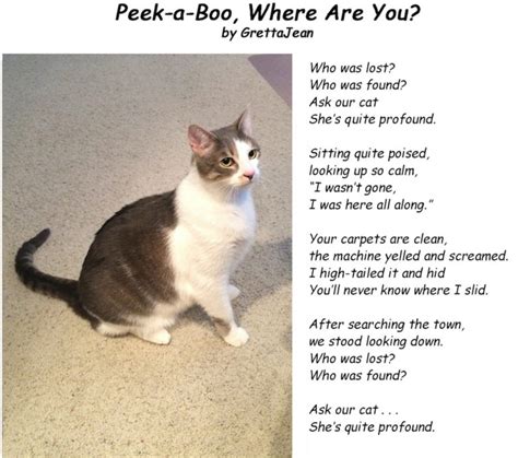 Peek A Boo Where Are You