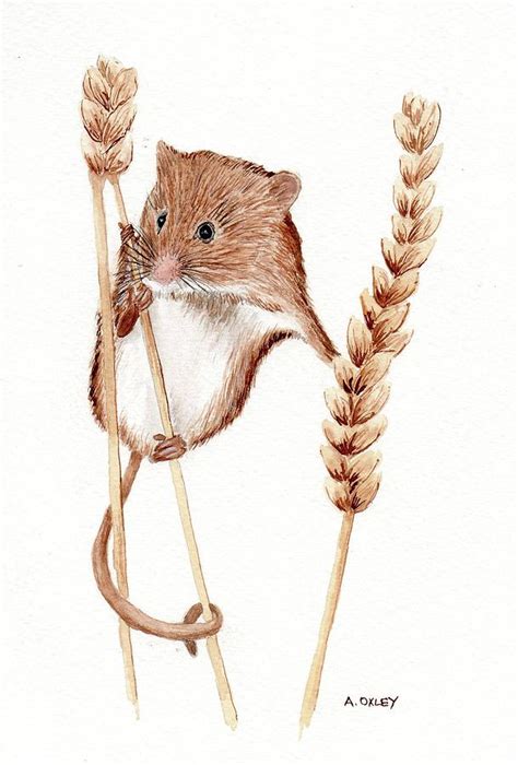 Field Mouse Painting By Anne Oxley Pixels