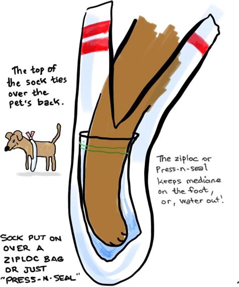 Putting A Ziploc Bag In The Sock When Socking A Dog Leg Dr Erik