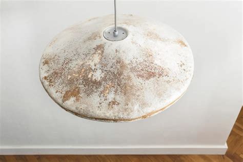 Myceen Creates Pendant Lampshades Made From Mushroom Mycelium Pendant