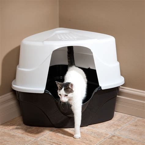 Top 10 Litter Boxes