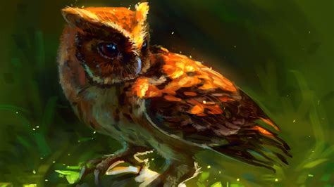 2048x1152 Owl Arts 2048x1152 Resolution Hd 4k Wallpapers Images