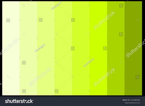 Abstract Green Color Palette From The Lightest Royalty Free Stock