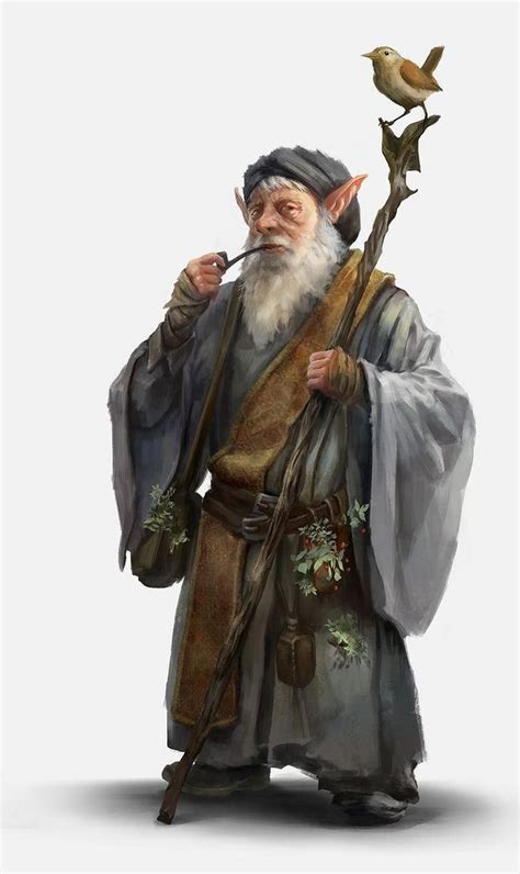 Dungeons Dragons Halflings And Gnomes Ii Inspirational Fantasy