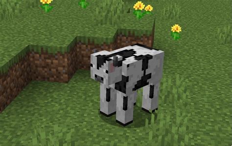 Rochester Xs Holstein Cow Texture Pack Minecraft Texture Pack