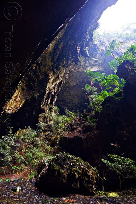 Deer Cave Entrance Mulu Borneo