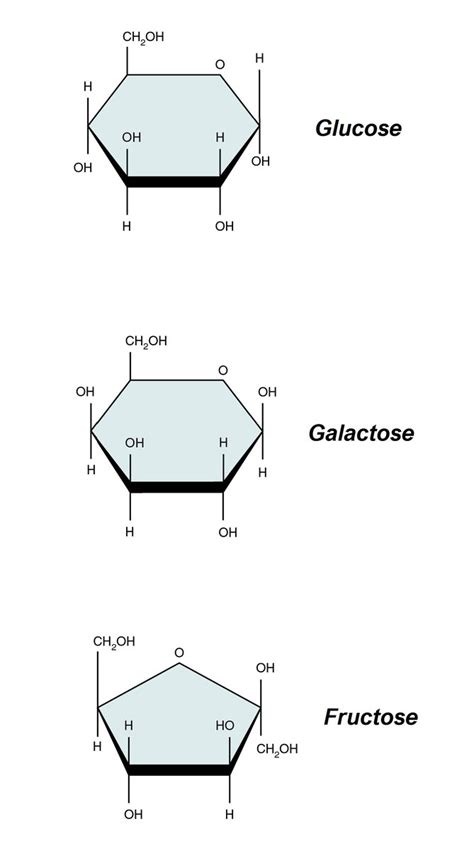 Glucose Fructose Galactose Intolérance Au Galactose Stjboon