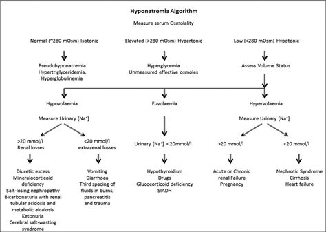 Diagnostic Algorithm Of Hyponatremia Modified Scheme 3 Download