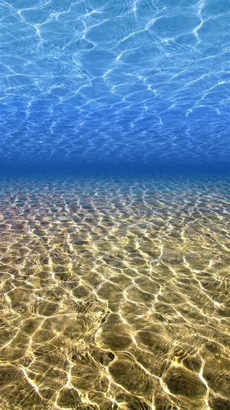 Pin By Nikkladesigns On Iphone Wallpaper Underwater Wallpaper Summer