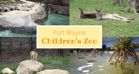 Fort Wayne Childrens Zoo Buddy The Traveling Monkey