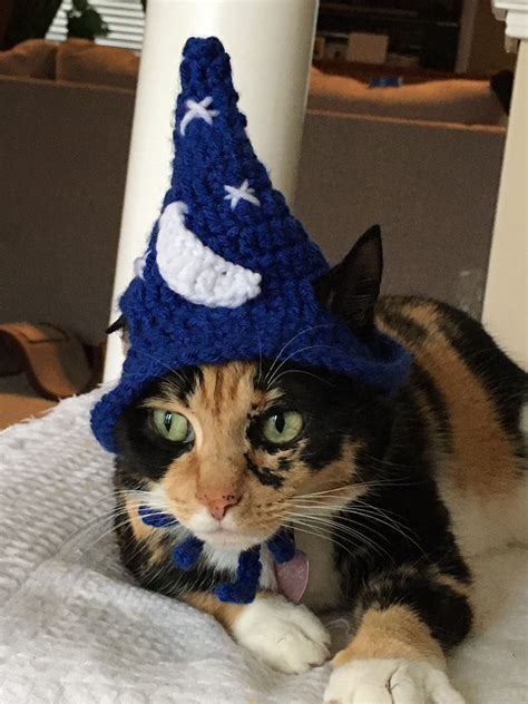 Cat Wizard Hat Cat Hat Cat Costumes Cat Supplies Cat Clothing Etsy