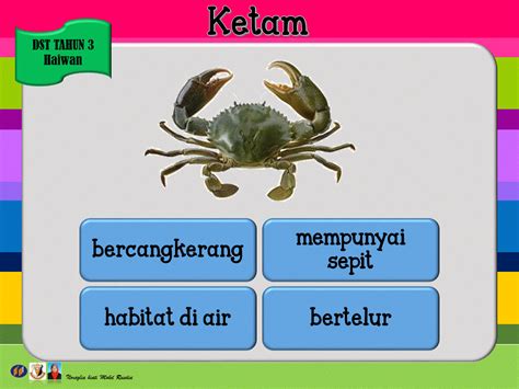 Melakukan korban selain haiwan ternakan tidak dilakukan oleh nabi saw dan para sahabatnya. Dunia Sains dan Teknologi (Belajar dengan Ceria): DST ...