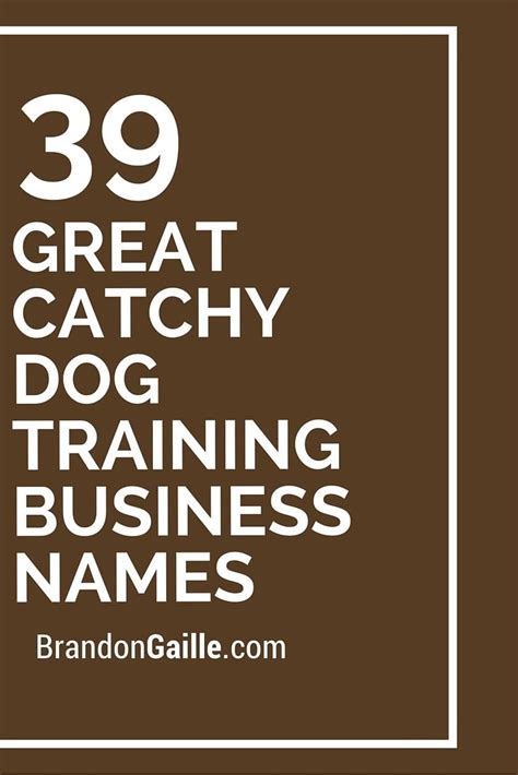 The Words 39 Great Catchy Dog Training Business Names Are In White
