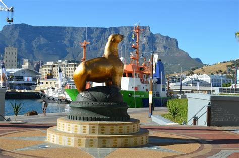 Robben Island Tour Combinations In Cape Town South Africa