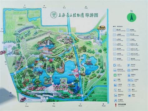 Shanghai Chenshan Botanical Gardens 2020 What To Know Before You Go