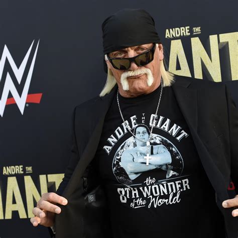 Hulk Hogans 110m Lawsuit With Cox Radio Over Sex Tape Reaches